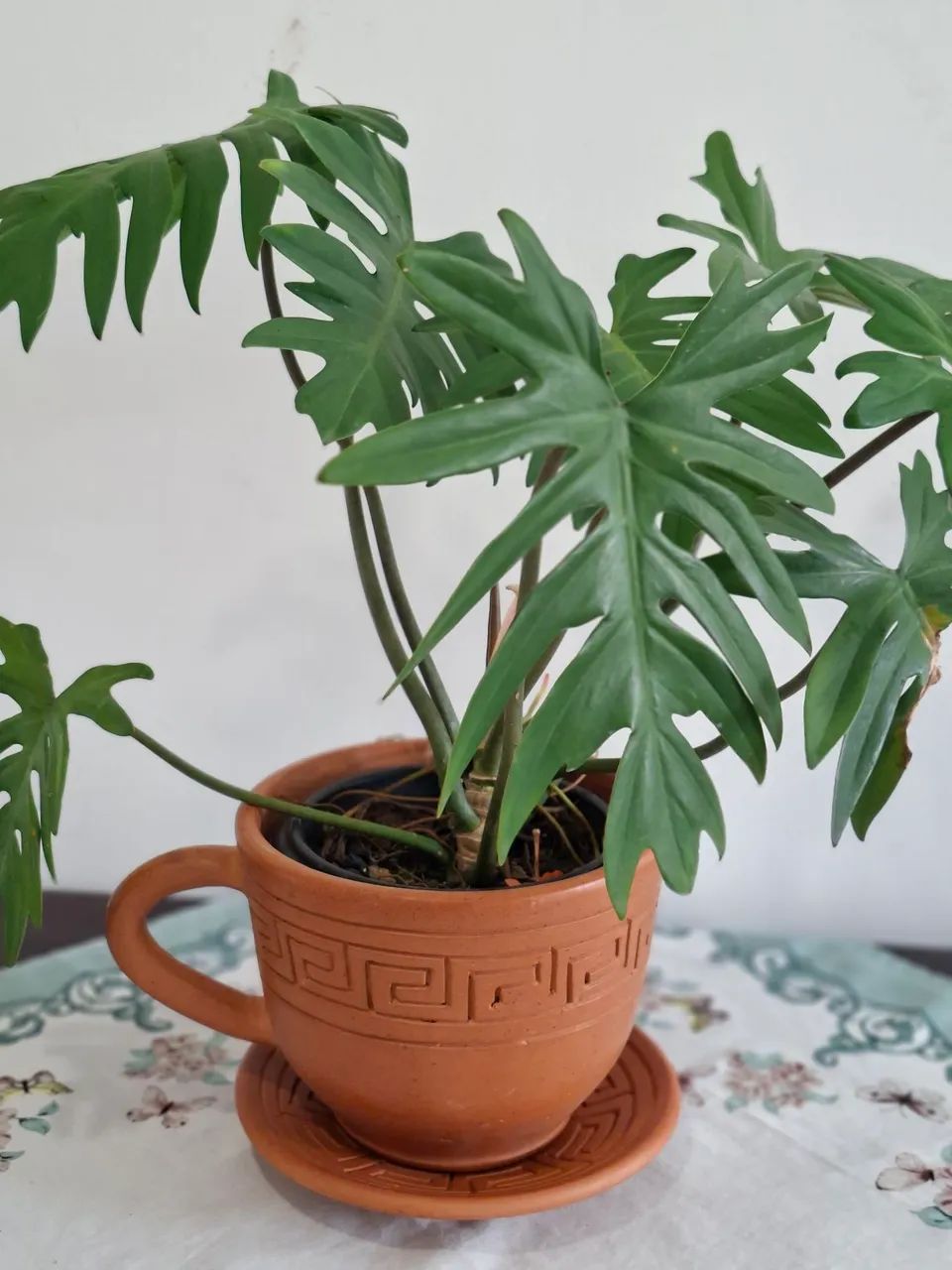 Vaso de barro - Foto 2
