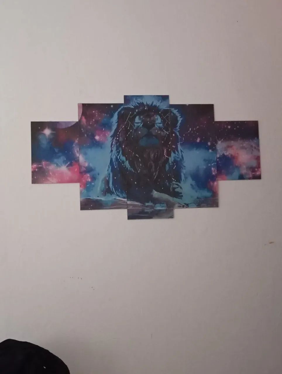 Vendo quadro de leão  - Foto 2