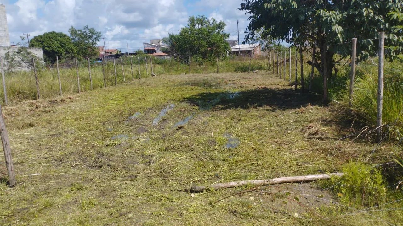 Terreno 12x30 (360mm) Serrambi - Foto 4