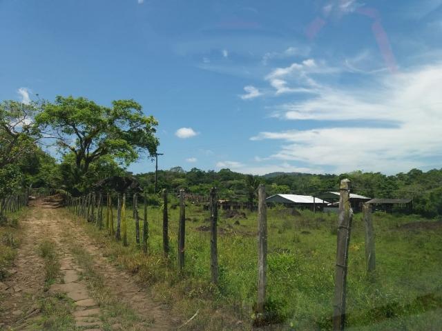 Fazenda no Jardim Grapiúna