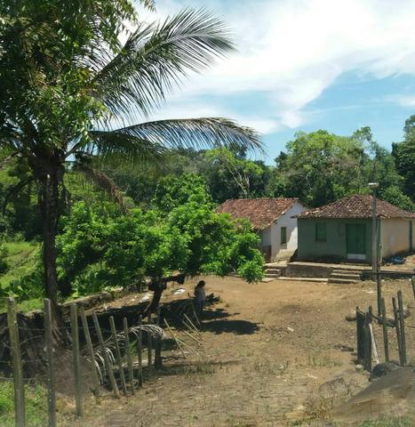 Fazenda no Jardim Grapiúna - Foto 9