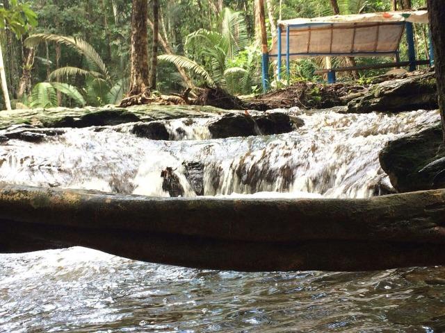 Fazenda em Presidente Figueiredo próximo cachoeira Urubui - Foto 14