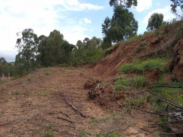 Terreno à venda, 1200 m² por R$ 80.000 - São Vicente - Mairiporã/SP - Foto 2