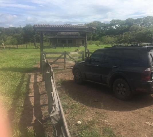 Sítio na Comunidade Carrijo à 60 Km do Trevo do Lagarto - Foto 15
