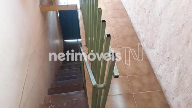 Casa à venda com 5 dormitórios em Novo glória, Belo horizonte cod:766818 - Foto 3