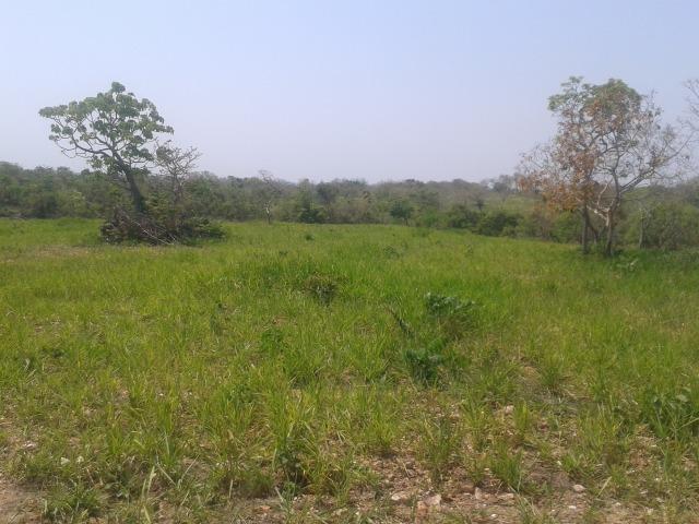 Troco Fazenda,195 hectares,lazer,turismo,pecuária,Cuiabá-MT - Foto 2