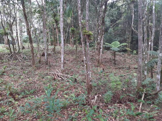 Chacara com 6,156 mts - Foto 10