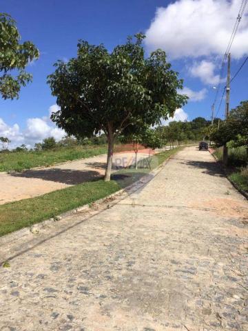 Terreno residencial à venda. - Foto 7