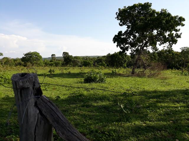 Chácara Manso (CHAPADA) - Foto 7