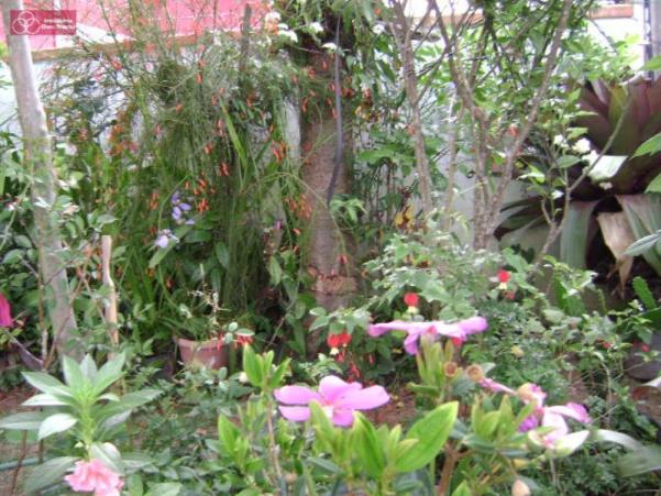 Casa à venda com 3 dormitórios em Vargem do bom jesus, Florianopolis cod:2537 - Foto 14