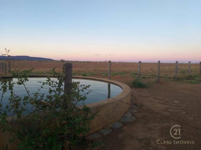 Fazenda à 98 km de guanambi | ba - Foto 3