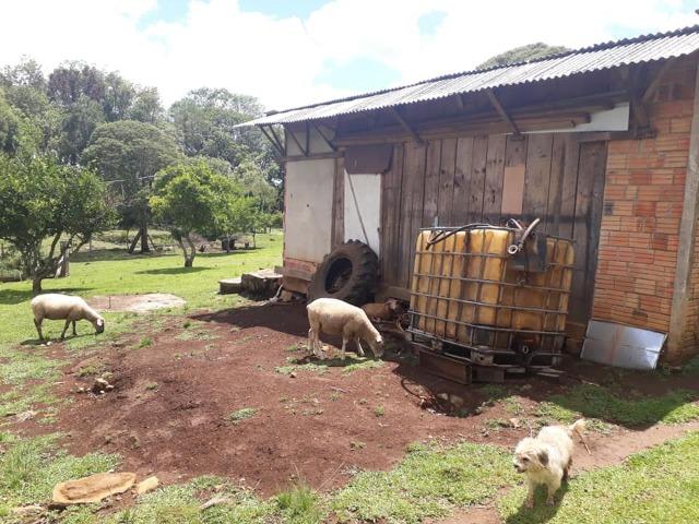 Linda Chácara 24.200 m2 ( 1 Alqueire) com 2 Casas - Palmas PR - Foto 15