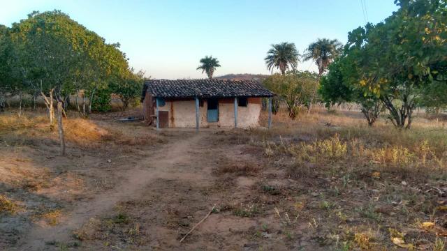 Chacara Vitória - Foto 14