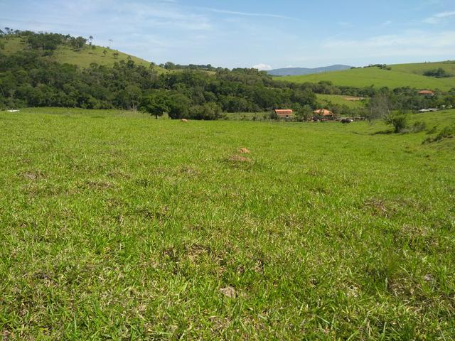 Fazendinha com 38 mil metros quadrados casinha antiga reformada - Foto 6