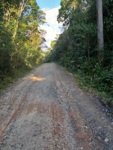 Terreno Excelente, Plano, Barato, Embura, 2.500m, R$ 40 Mil - Foto 3