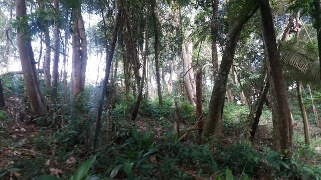Terreno 1600M - Embu Guaçu - Foto 12