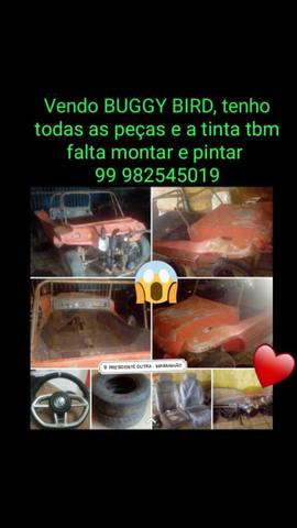 Buggy bird com motor AP 1.6 - Foto 15