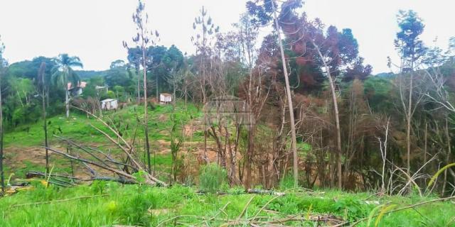 Chácara à venda em Ferraria, Campo largo cod:149100 - Foto 4