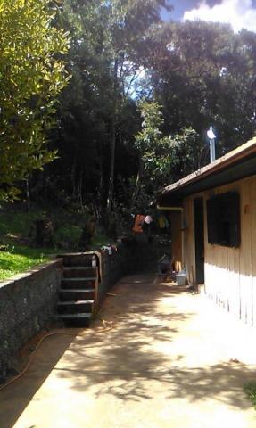Sítio com 2 dormitórios à venda, 200000 m² por r$ 350.000,00 - santa terezinha - canela/rs - Foto 7