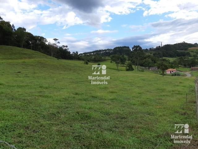 Sítio à venda com 3 dormitórios em Alto limeira, Alfredo wagner cod:851 - Foto 3