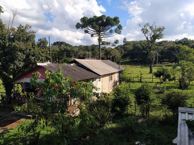 Chácara da lu  - Foto 2
