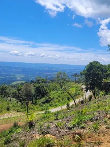 Imóvel com 2 hectares ao lado do Caminho das Nuvens / SC - Foto 5