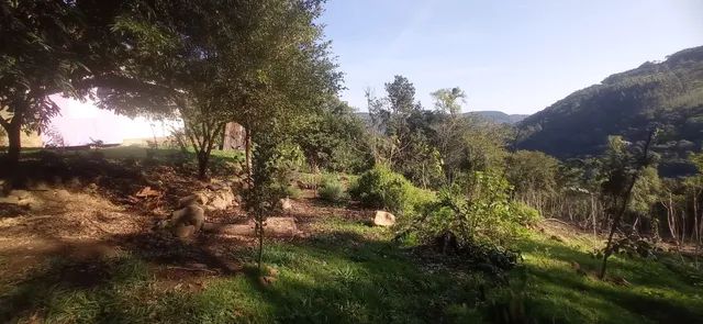 Sitio com casa 158,900,00 - Foto 3