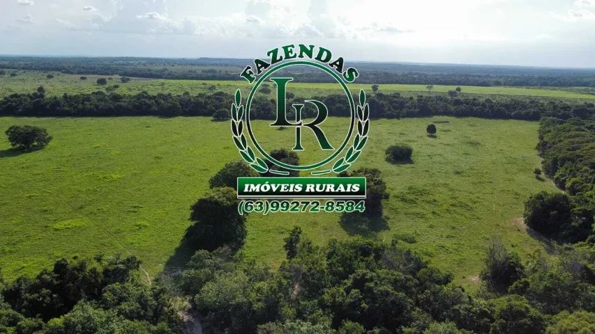 Fazenda 260 Alqueires Dupla Aptidão - Foto 4