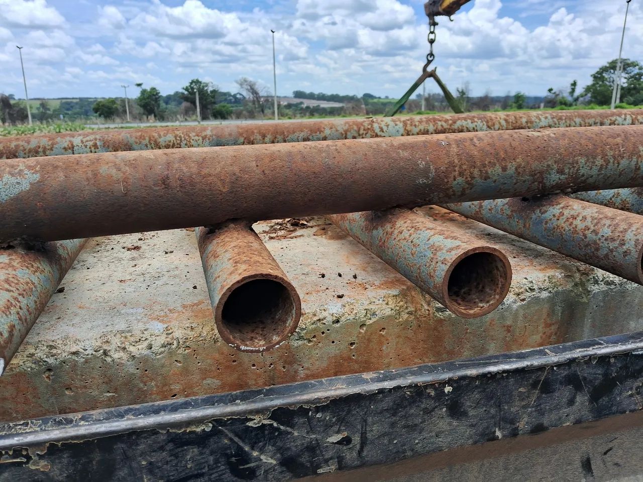 Mata burro  - Foto 4