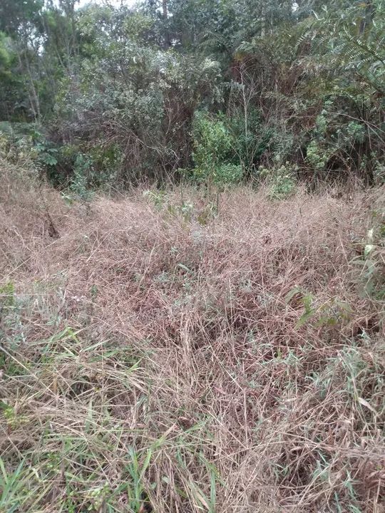 Área 37.650 m2 Embú Guaçu/Parelheiros  - Foto 6