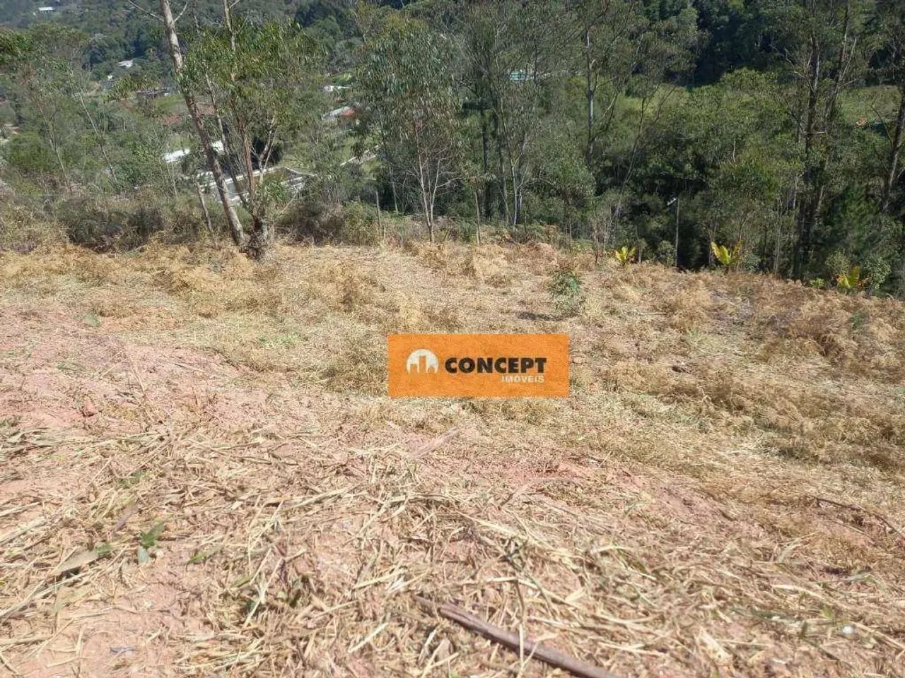 Chácara com 1 dormitório à venda, 1478 m² por R$ 137.000,00 - Clube dos Oficiais - Suzano/ - Foto 8