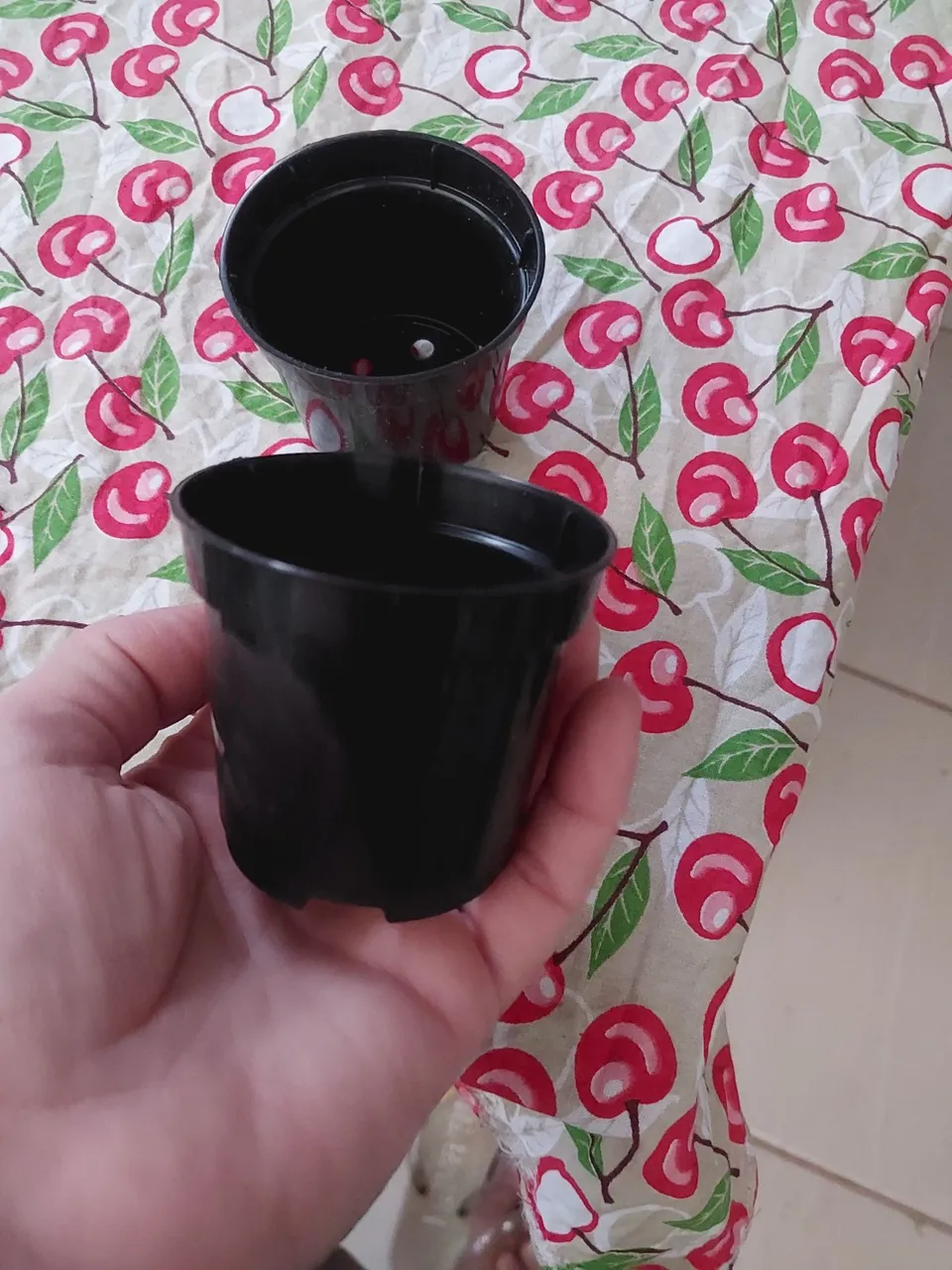 Vasos de plantas pequenos n° 6