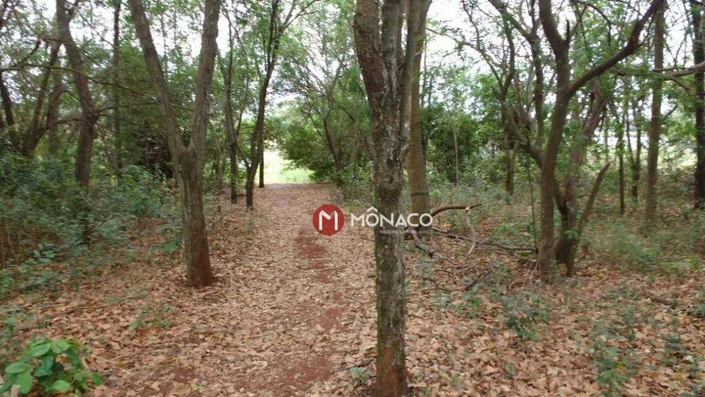 Terreno à venda, 600 m² por R$ 140.000,00 - Recanto Benelli - Alvorada do Sul/PR - Foto 5