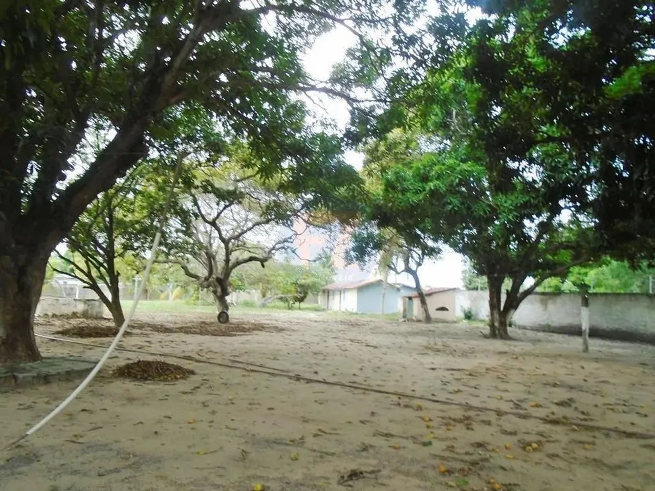 Locação de Terreno / Padrão na cidade de EUSÉBIO - Foto 4
