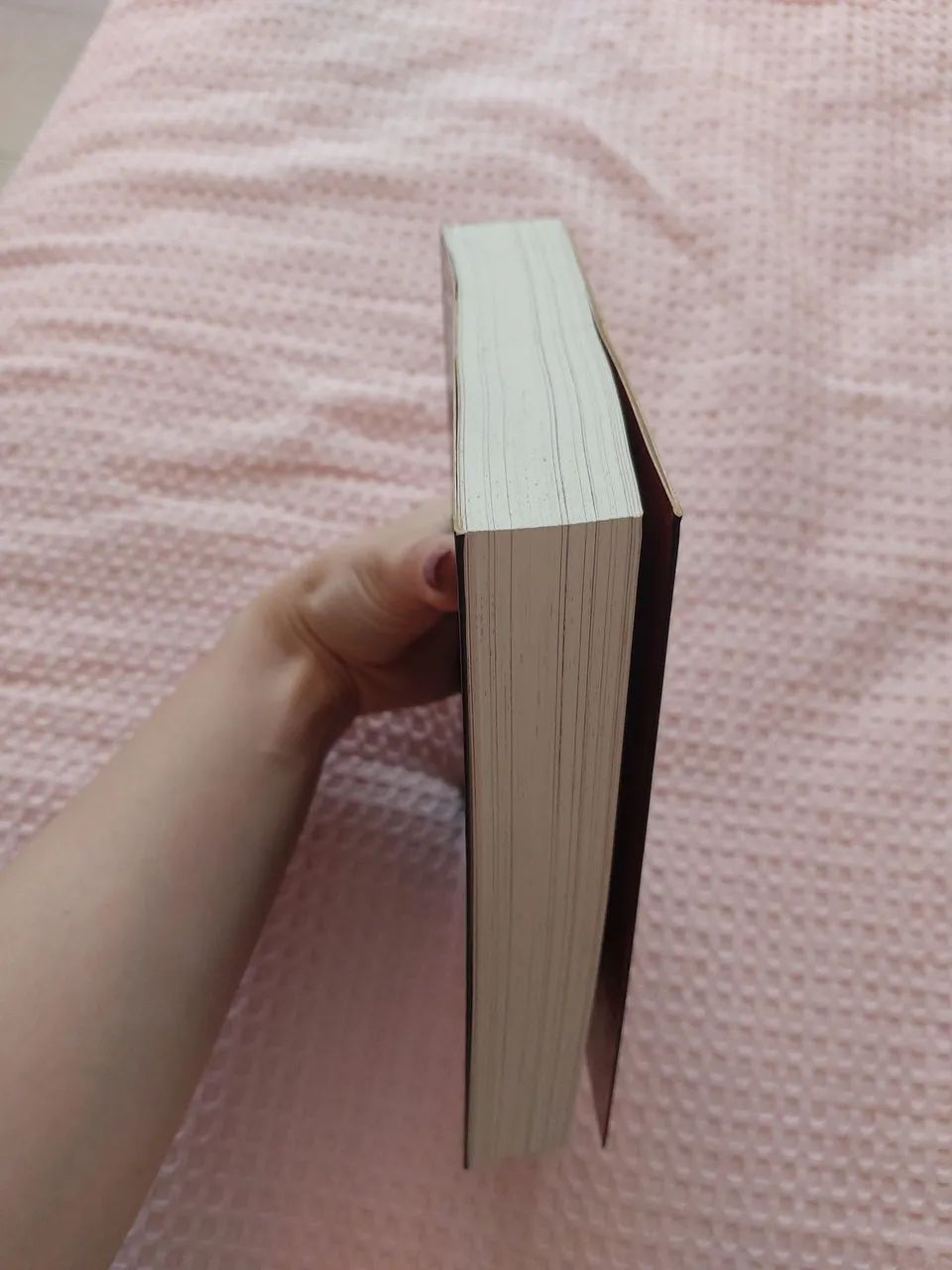 Guia oficial ilustrado da saga crepúsculo  - Foto 2