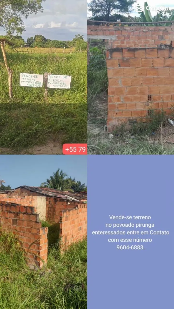 Terenos