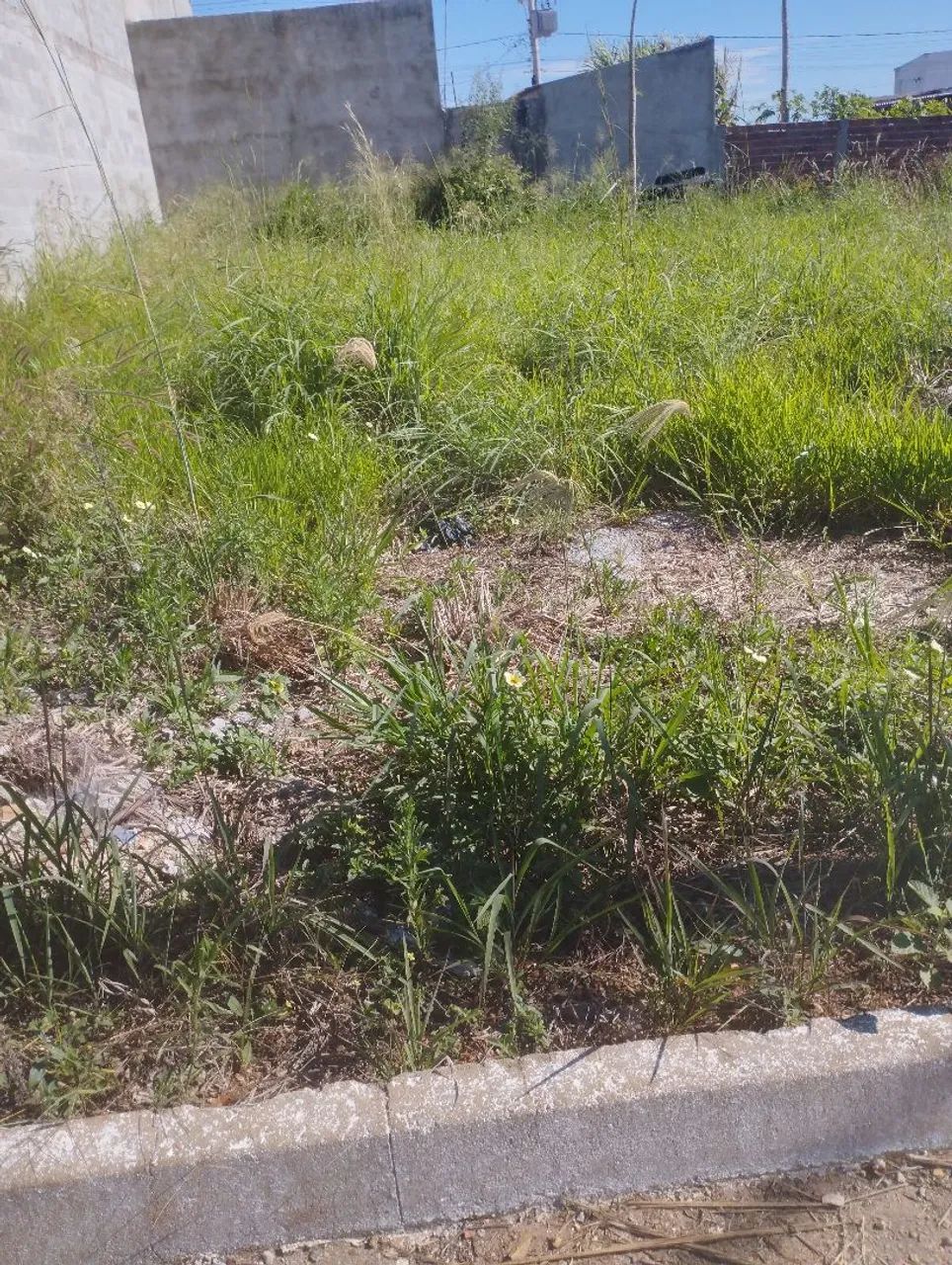 Lote setor cidade das praças 