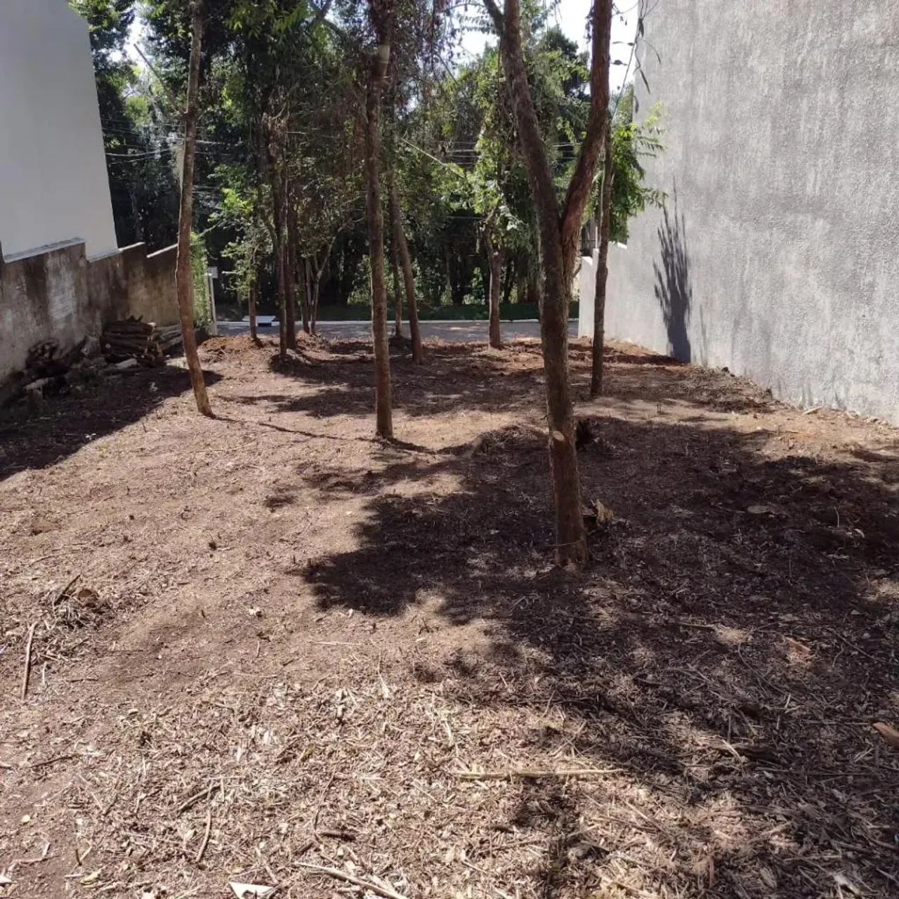 Terreno / Lote / Condomínio - Bairro Cantegril - Foto 6