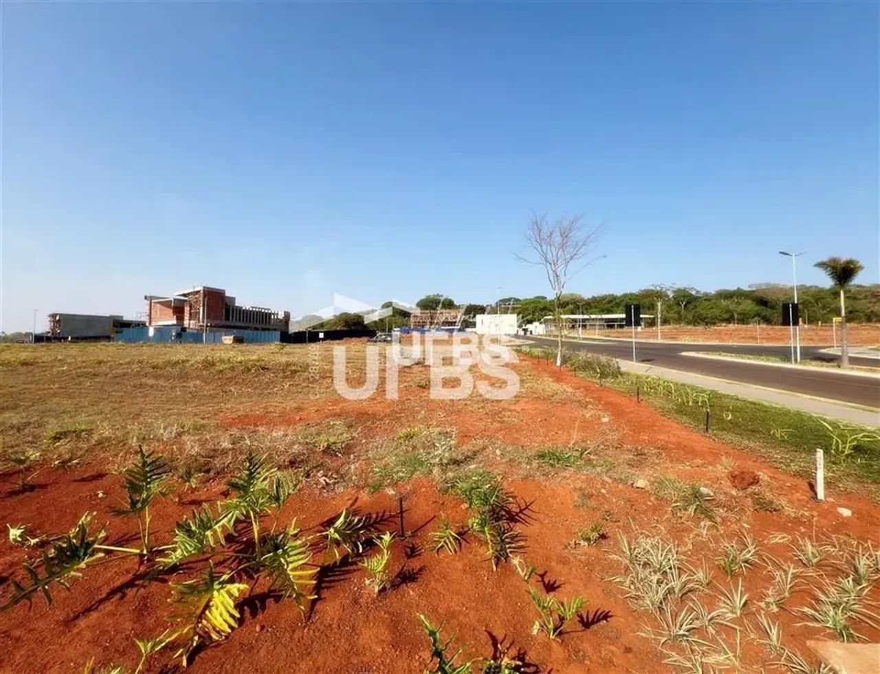 Plateau D´or - Terreno Residencial - Foto 5
