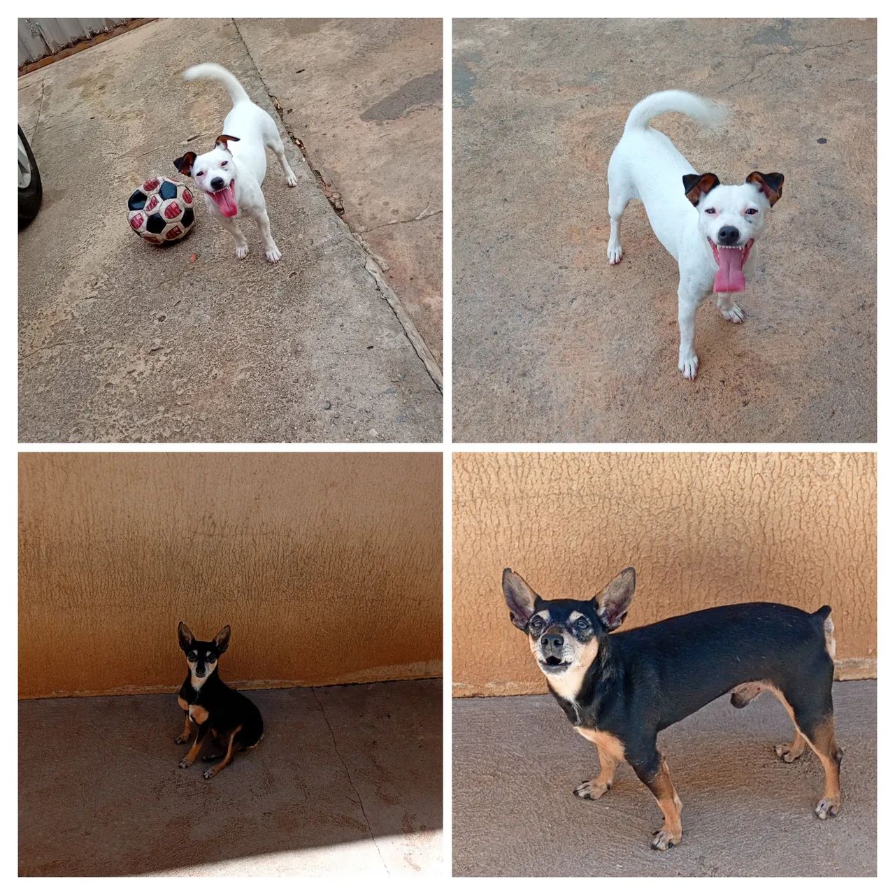 Doações responsável 