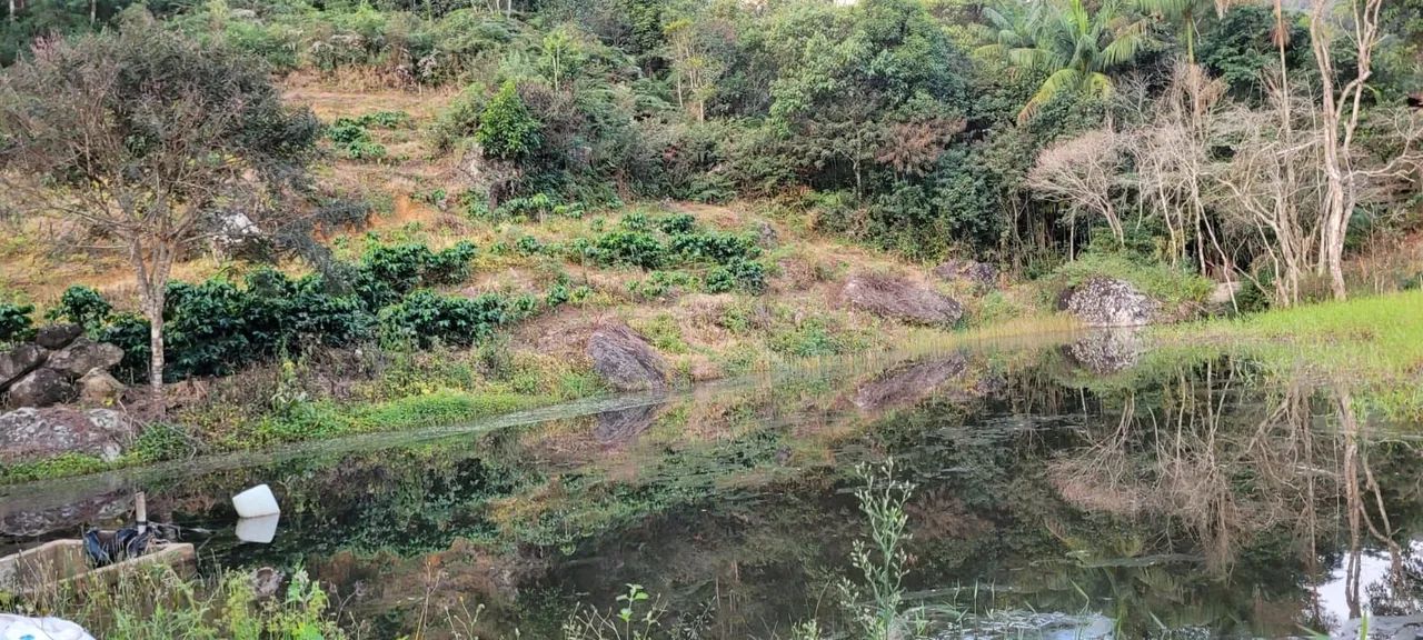 Sítio Produzindo Café - Escriturado - Domingos Martins ES - Foto 5