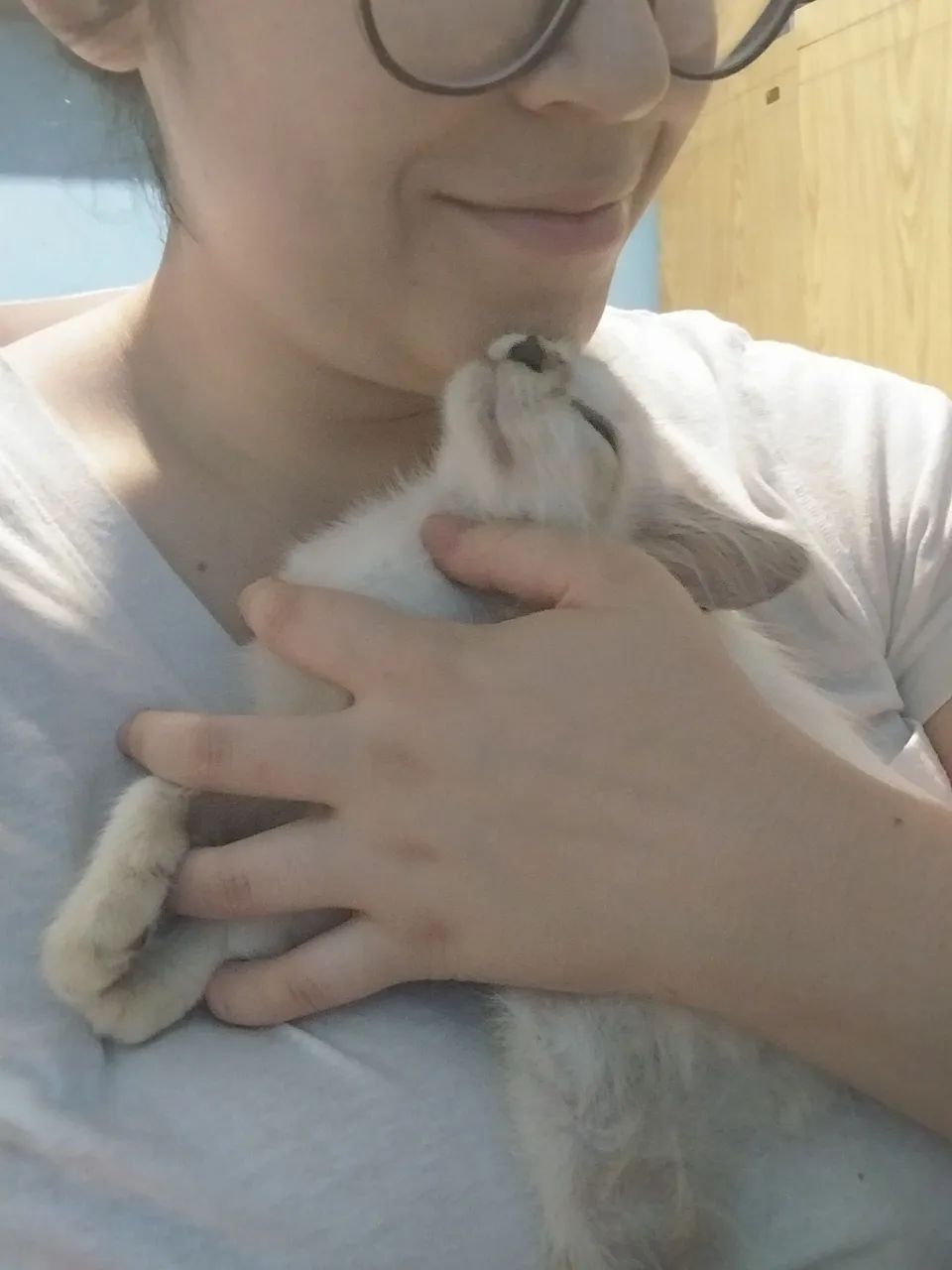 Adote Duquesa - Foto 2