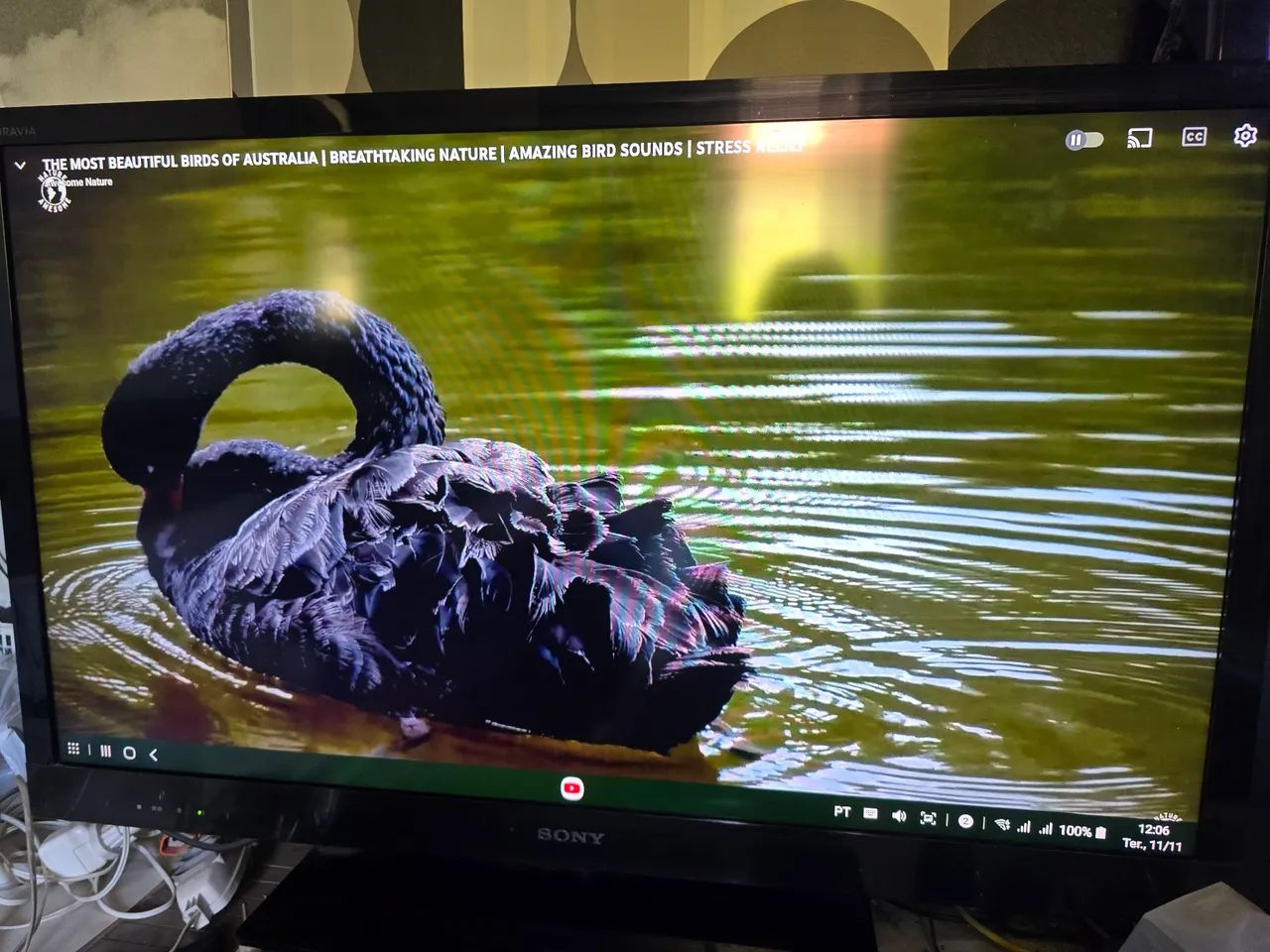 Tv Sony 40 polegadas 3d com 6 oculos ativos - Foto 5