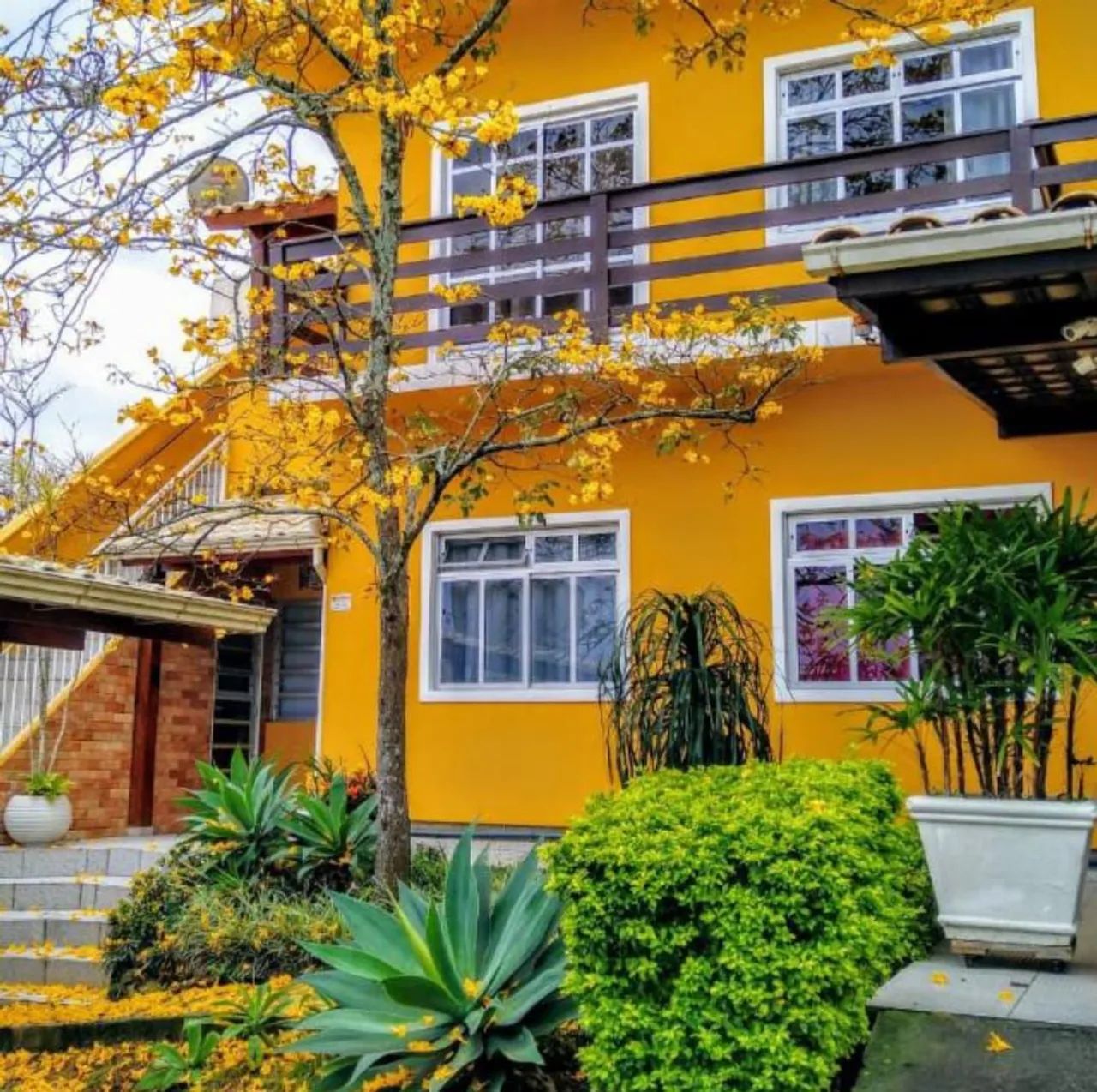 Foto - São José - Flor de Nápolis