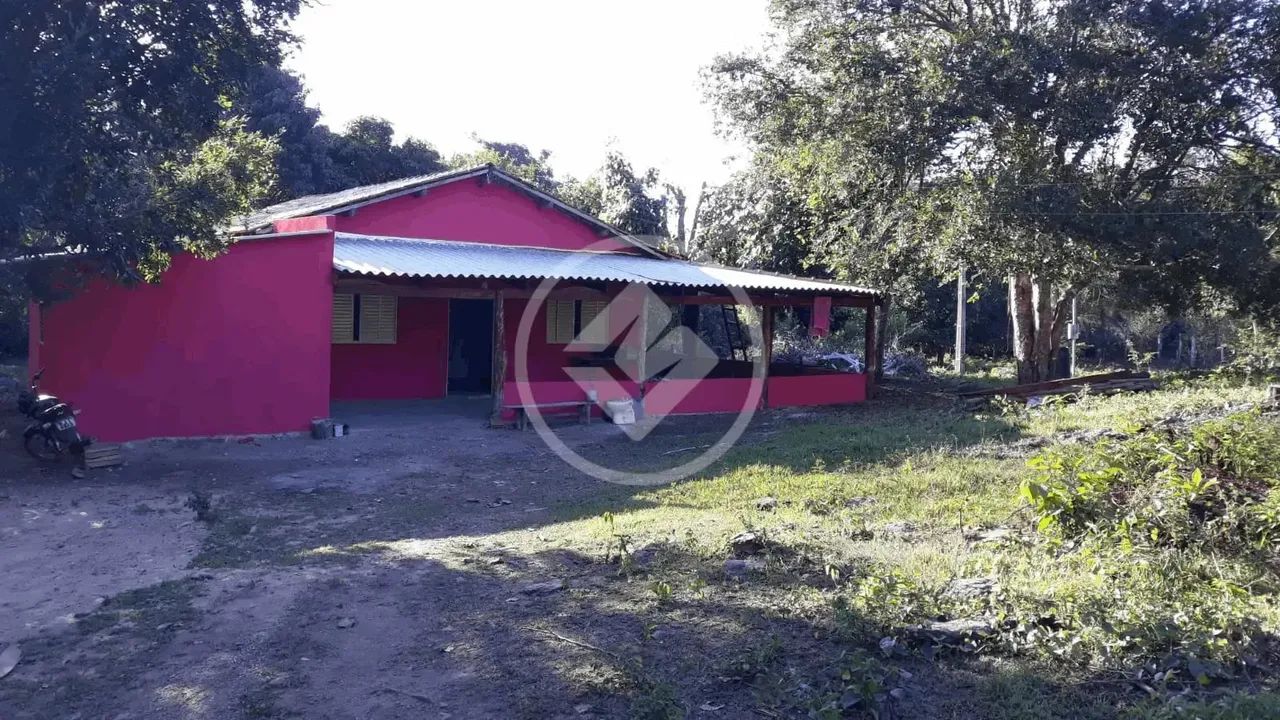 Fazenda, sentido cacéres, porteira fechada, com 35 vacas, 2 éguas, trator 265 com lamina,  - Foto 2