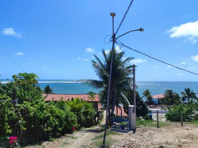 Foto - Goiana - 