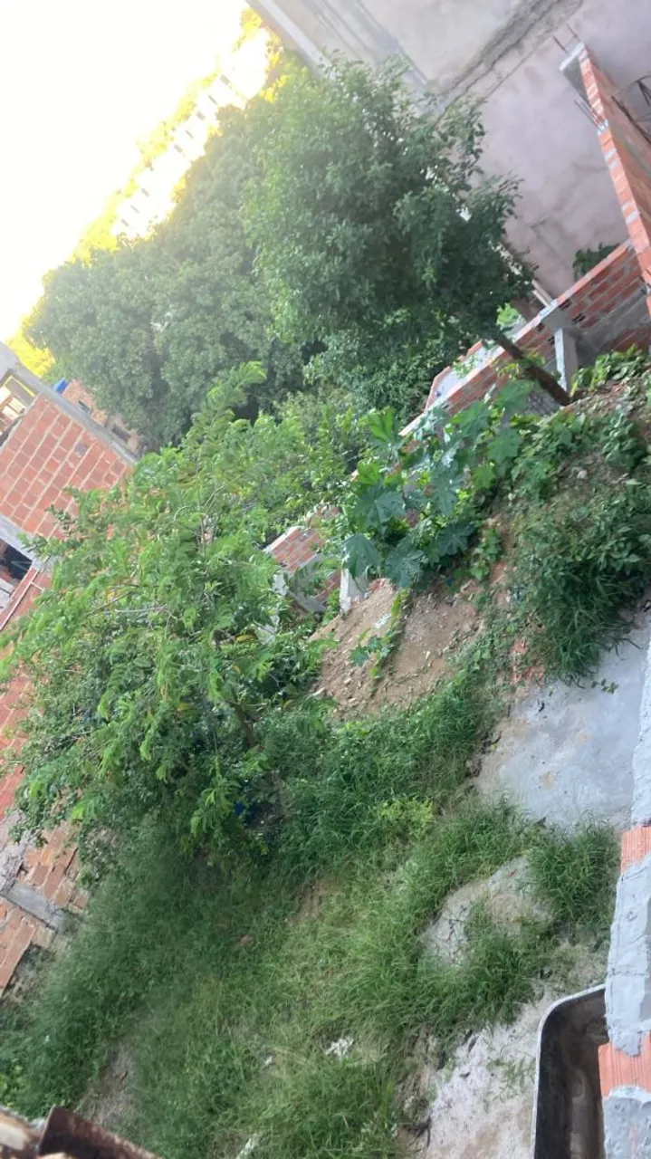 Terreno