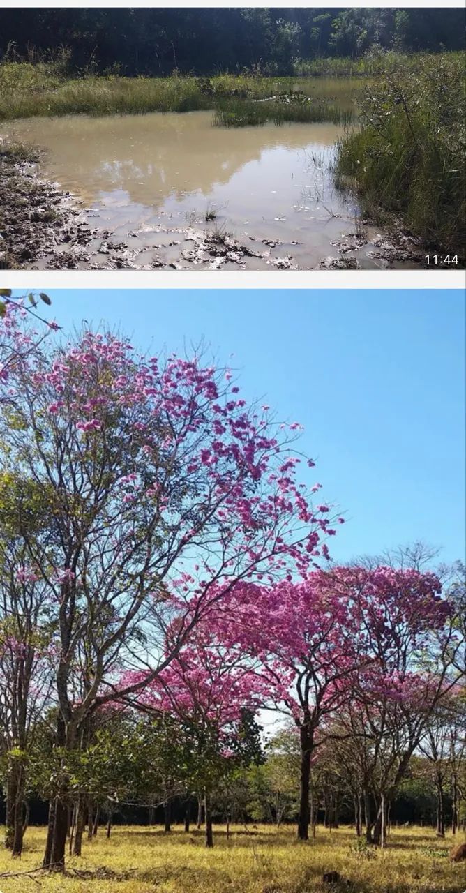 Fazenda próximo Uberlândia 80% aproveitamento  - Foto 2