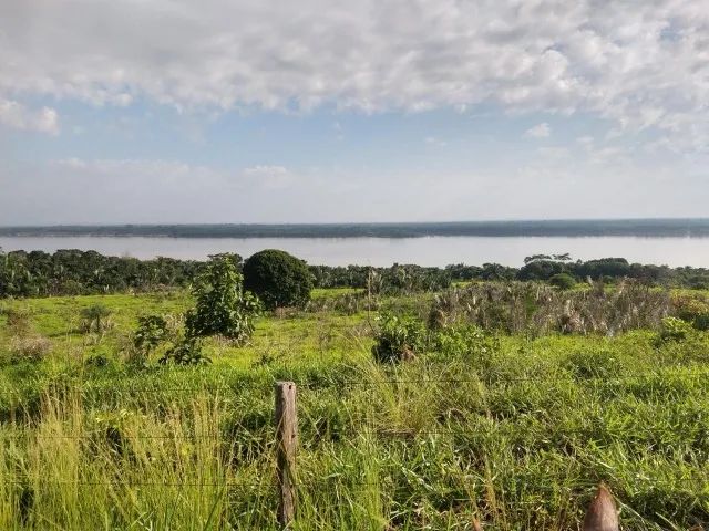 OPORTUNIDADE!!      FAZENDA - MARABÁ/PA - 45 Alqueires - Foto 4