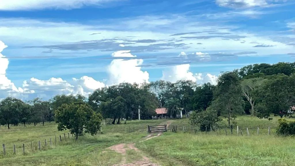 Fazenda 1.572 ha Aliança TO - Foto 5